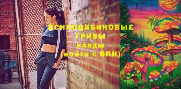 марки lsd Белокуриха