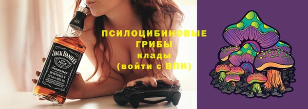 марки lsd Белокуриха