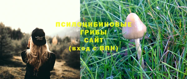 гидропоника Беломорск